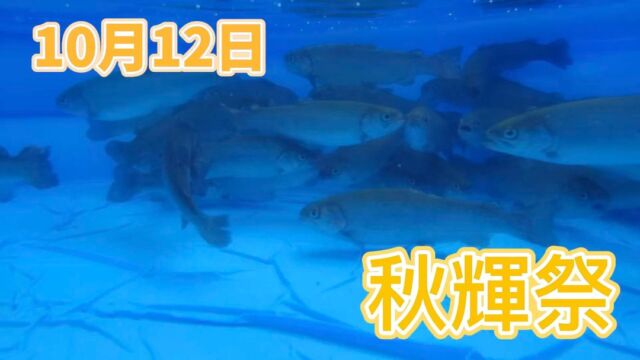 こんにちは😃田原の里です！
10月12日（土）にご家族様や地域の皆様、ボランティア様を招き「秋輝祭」を開催いたしました。
西田原自治会長様、田原太鼓保存会様、盆踊りボランティアの皆様、地域の皆様が多くのご協力をいただけた事で活気あるお祭りにする事ができました。
ご利用者の皆様が写真のとおり、思い思いに楽しんで頂けたのも皆様のご協力のおかげです。

秋に輝く稲穂も、ひとつの稲穂よりも沢山の稲穂が秋風で揺れる事で輝くように、皆様の協力で田原の里に多くの笑顔が咲き輝きました！
また、一つ一つの力が大きなものになる事を実感出来た「秋輝祭」となりました。
ご協力をいただいた皆様、本当にありがとうございました。

#社会福祉法人昴　#特別養護老人ホーム　 #田原の里　#ユニットケア　 #小規模多機能　 #くず葉台ケアセンター　#秦野市　#笑顔 #祭　#秋祭り　#まつり　#秋まつり